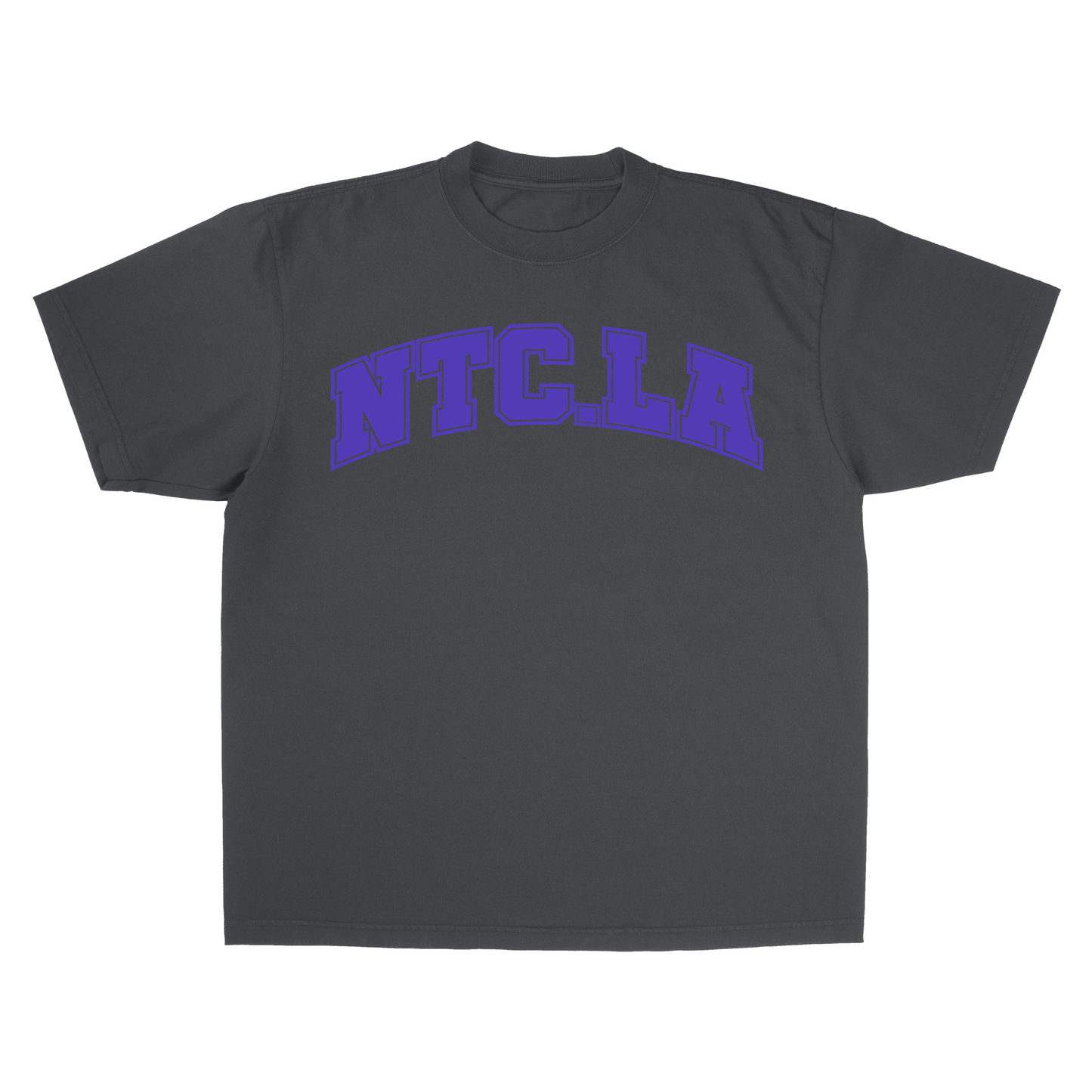 NTC LA UNI SHADOW/ROYAL PURPLE TEE